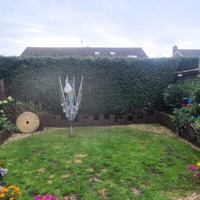 Large Hedge Reduction Service 2