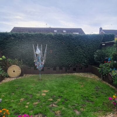 Large Hedge Reduction Service 4