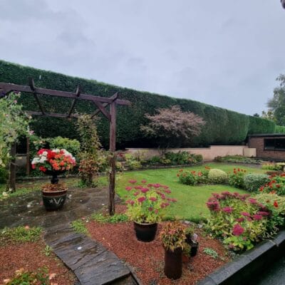 Large Hedge Reduction Service 5