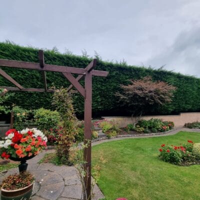 Large Hedge Reduction Service 7