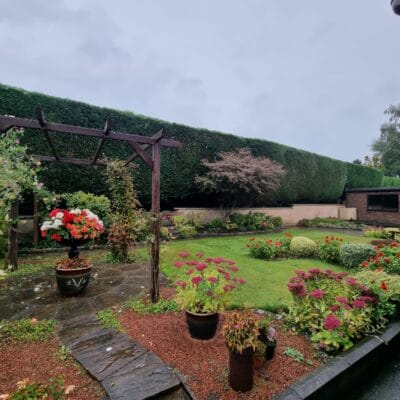 Large Hedge Reduction Service 8