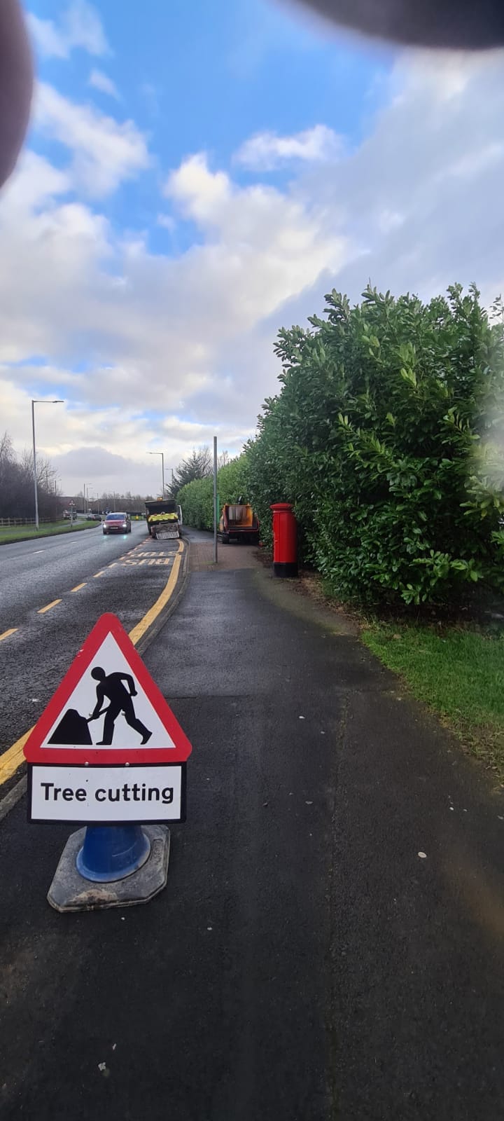Cutting Hedge for Council