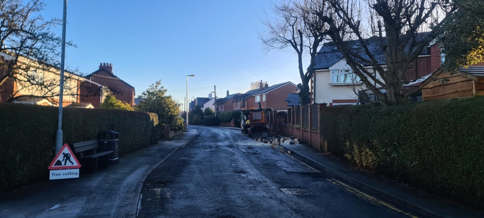 Removing Beech Tree Eccleston