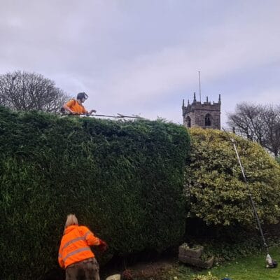 Pruning 4