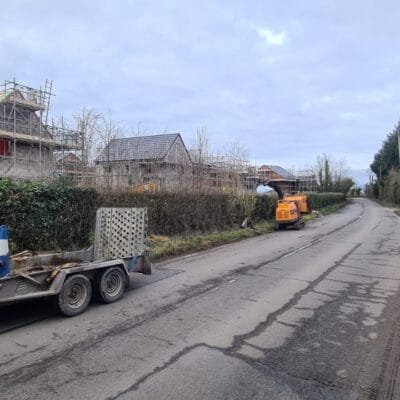 Pruning1