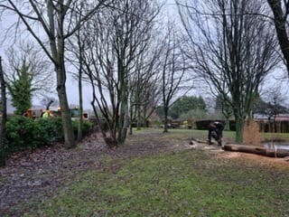 Storm Damaged Tree For A Regular Customer