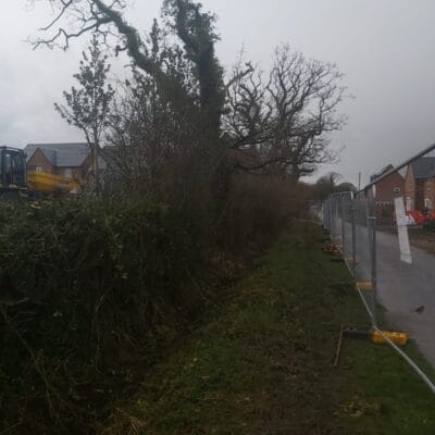 Hedge Cutting 10