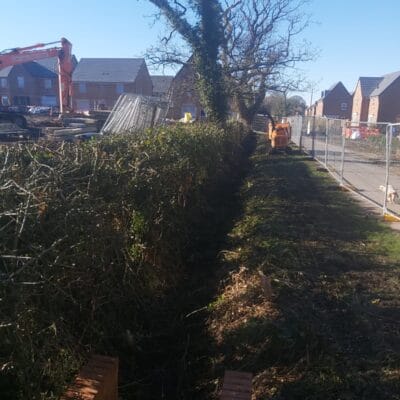 Hedge Cutting 12