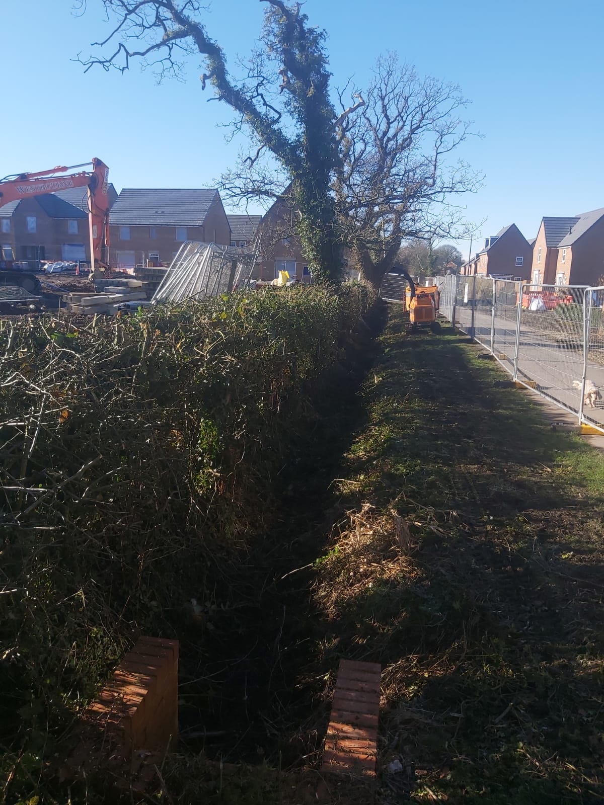 Project: Hedge Cutting