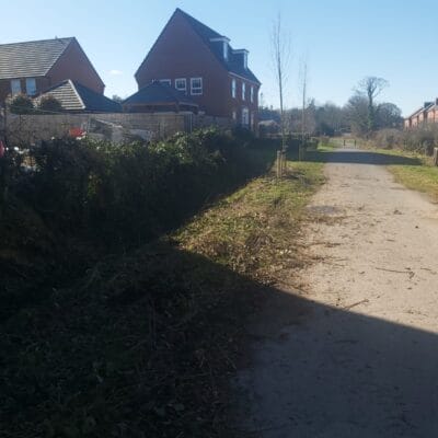 Hedge Cutting 13