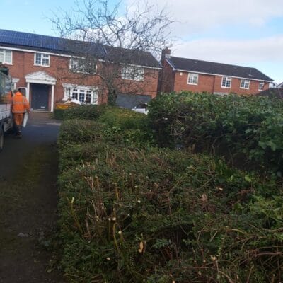 Hedge Cutting 2
