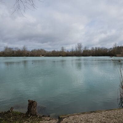 Fishery 2