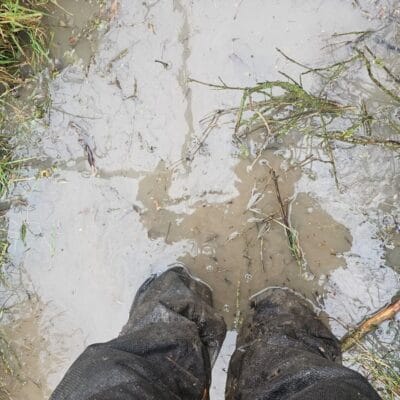 Clearance Walton Le Dale 2