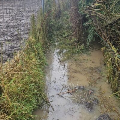 Clearance Walton Le Dale 6
