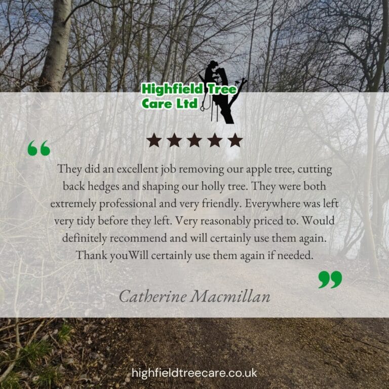 Customer Review