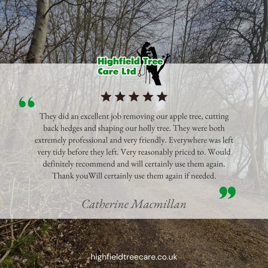 Customer Review