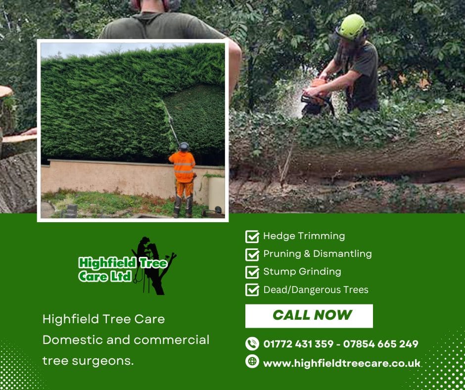 Get your free quote today!