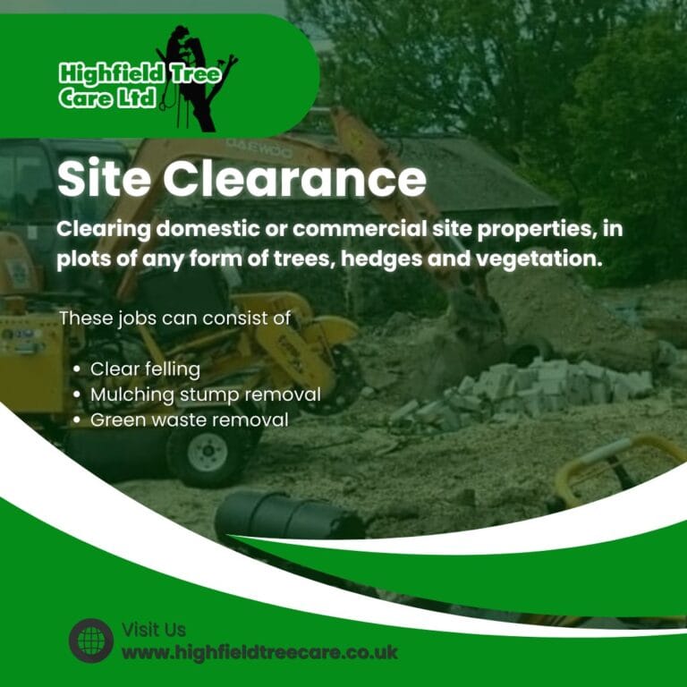 Site Clearance