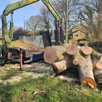 Tree Removal Lancaster 2