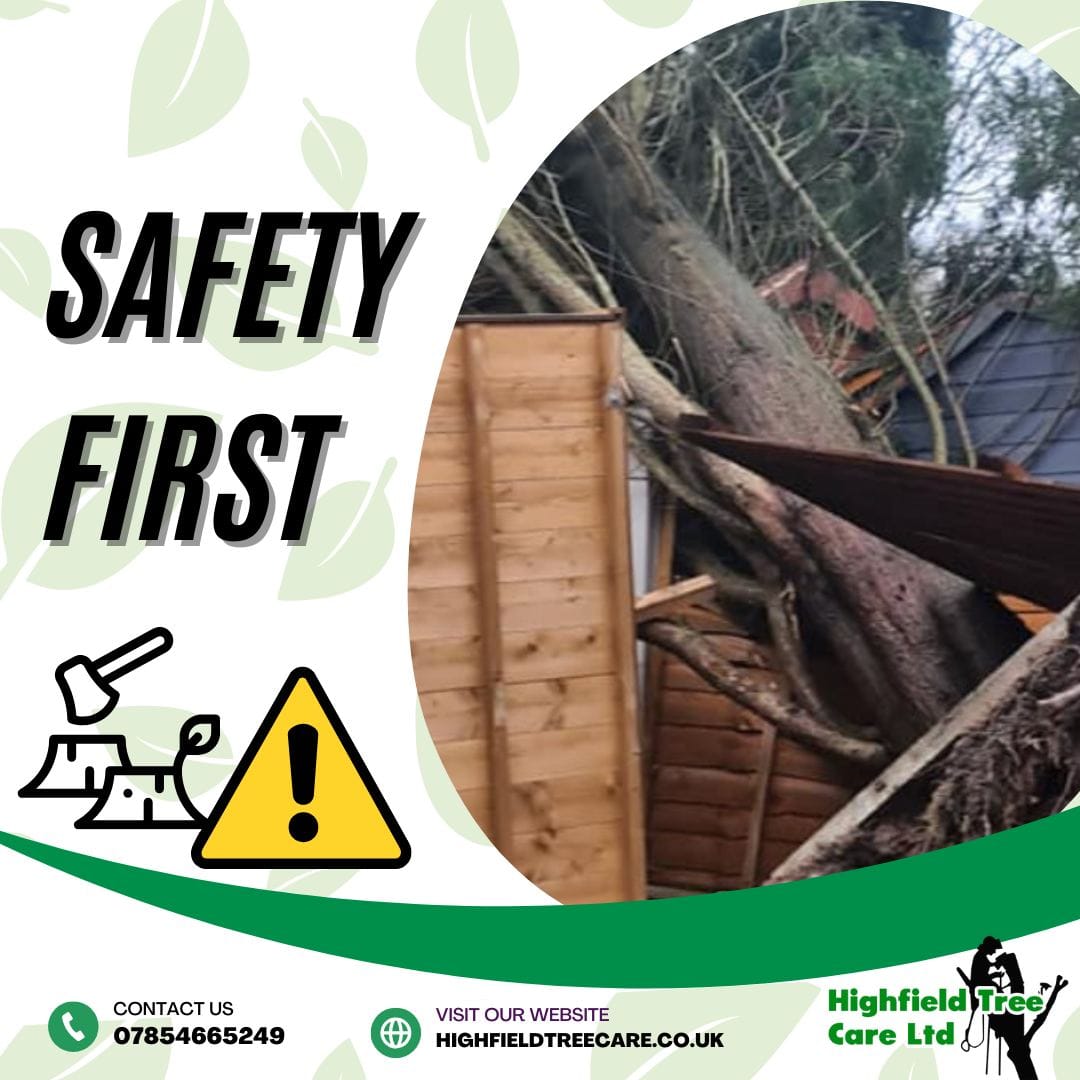 Protecting Your Trees