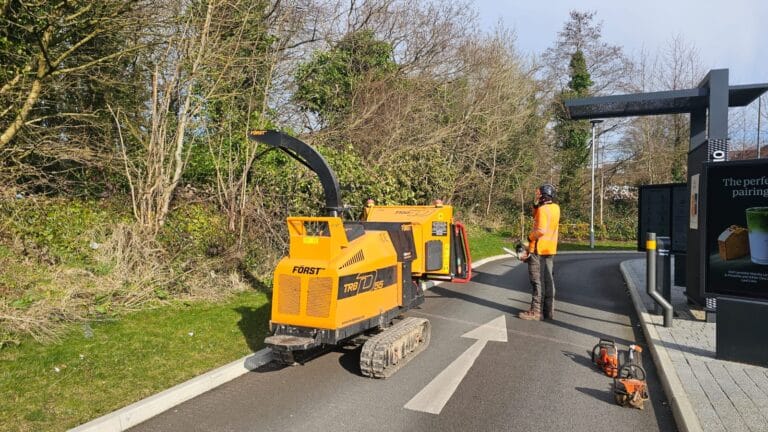 Blackpool Tree Surgeon Services