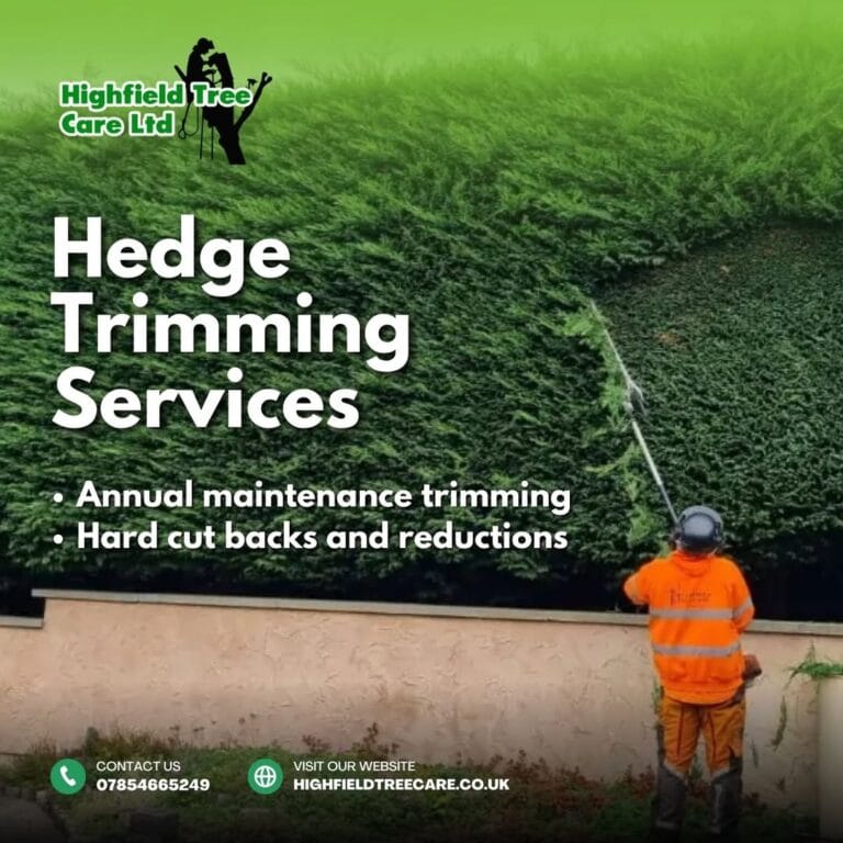 Hedge Trimming Services