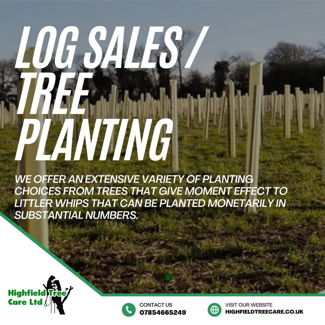 Plant Trees & Buy Sustainable Logs