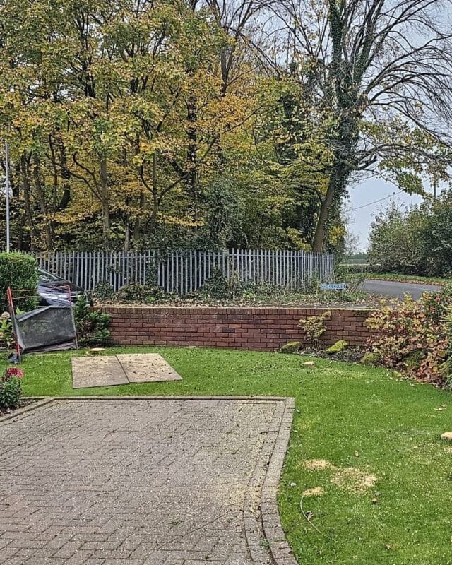 A clear view of a residential front garden in Longmeanygate, Leyland, following the removal of hawthorn trees, showing a tidy lawn and protective boards on the grass.