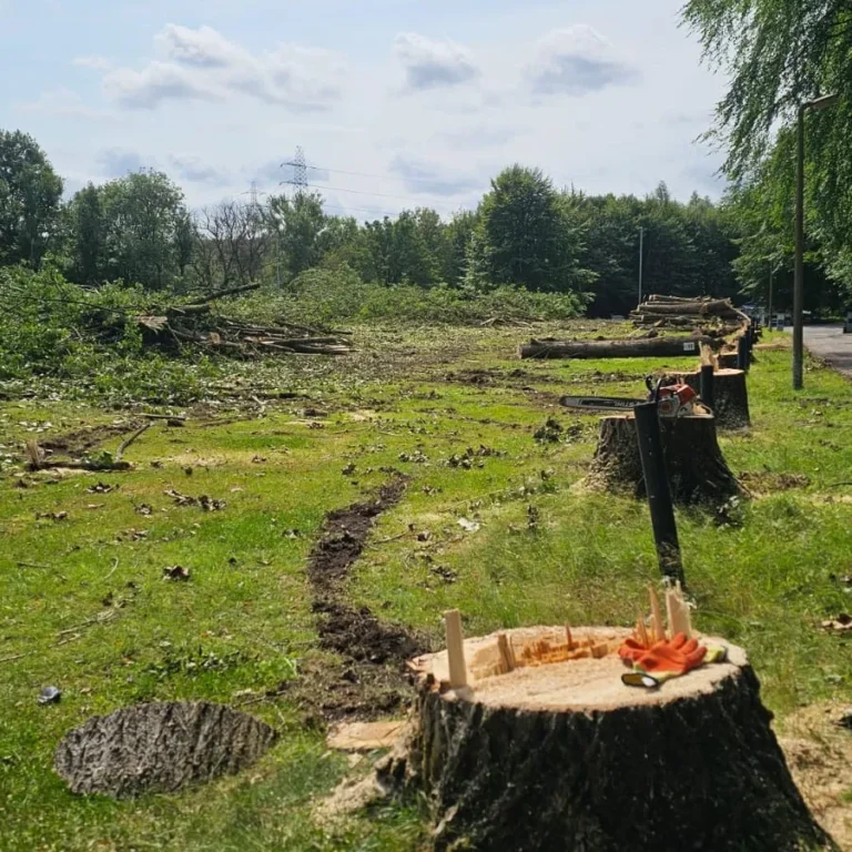 Site Clearance In Manchester