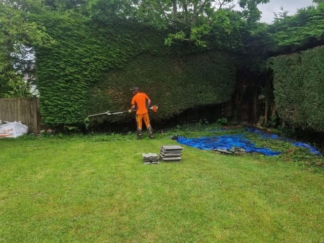 Professional tree surgeon in Bolton wearing orange high-visibility gear expertly trims and shapes an overgrown garden hedge using a long-reach hedge cutter, with clippings neatly collected on a blue tarp.
