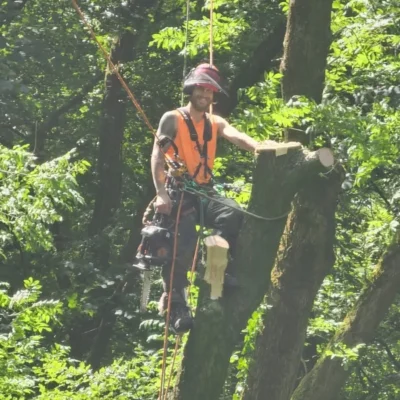 Tree Surgeons Blackpool