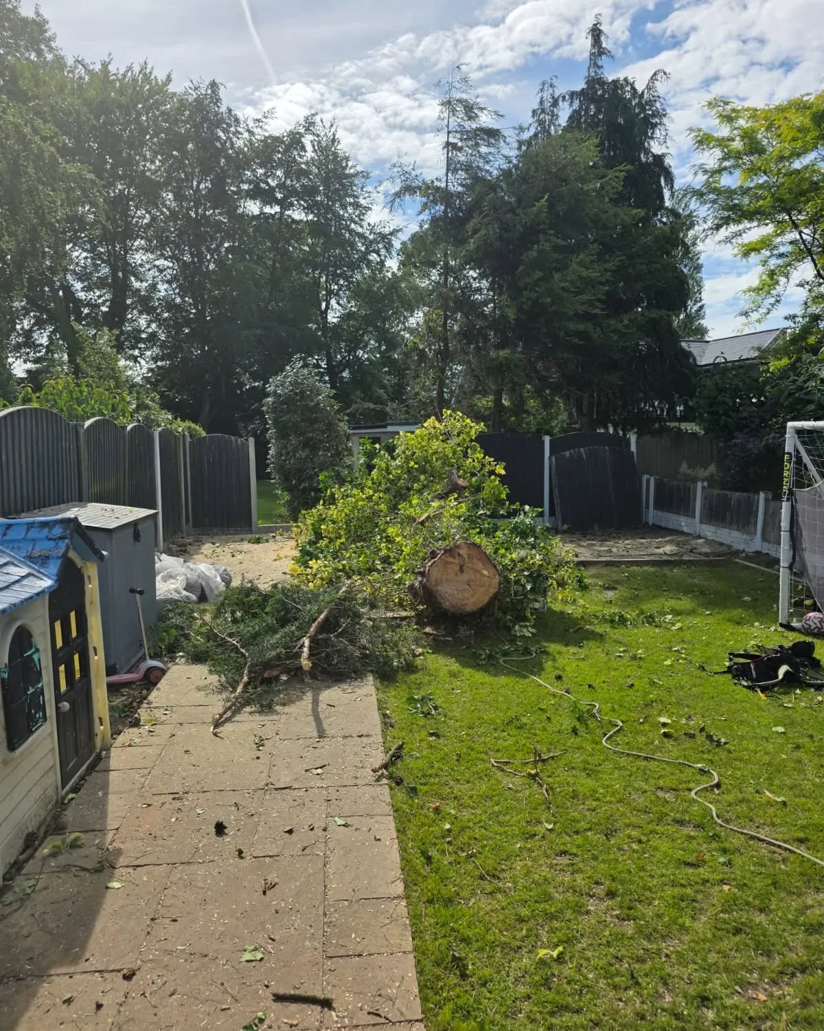 Emergency Pine Tree Removal at a Residential Property in Longton