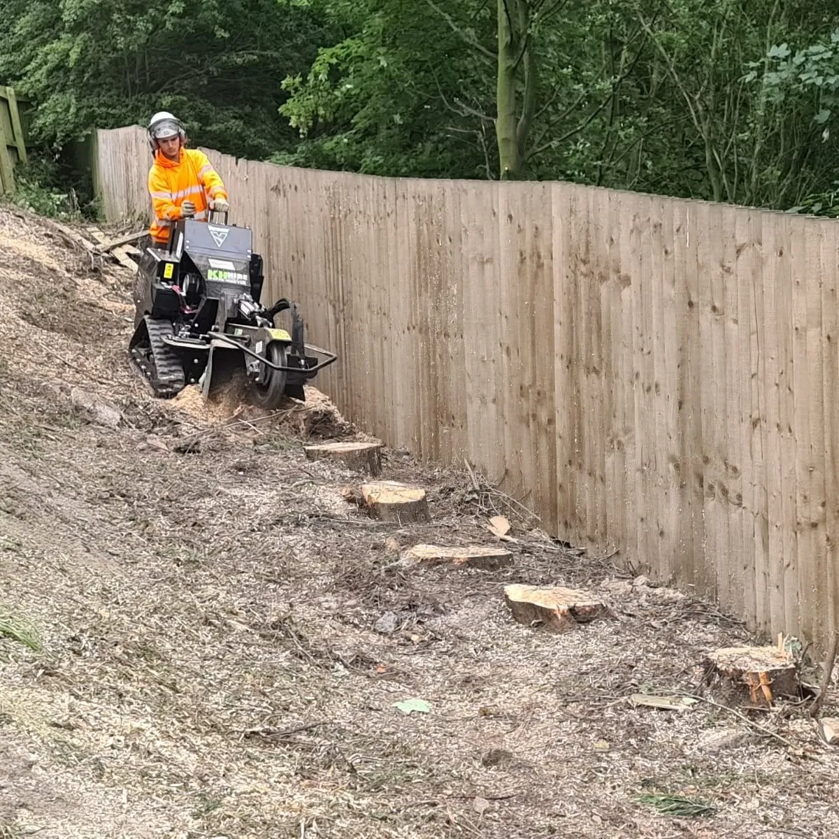 Stump Grinding