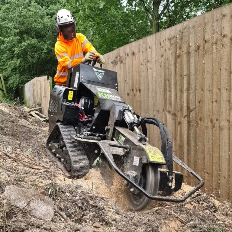 Stump Grinding 3 Treecare